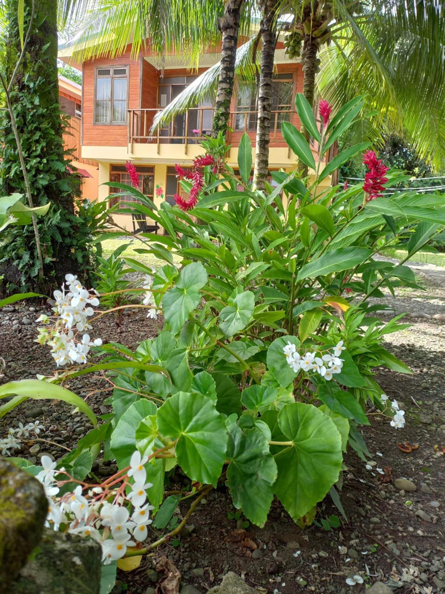 Babilonia Aparthotel Cahuita Kültér fotó