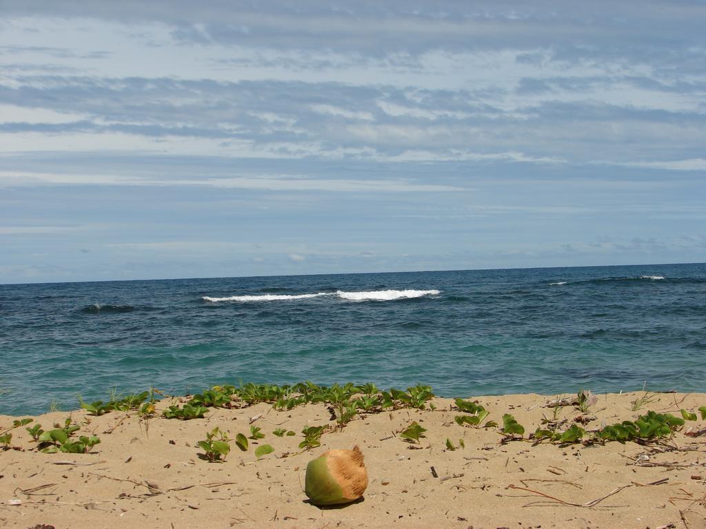Babilonia Aparthotel Cahuita Kültér fotó