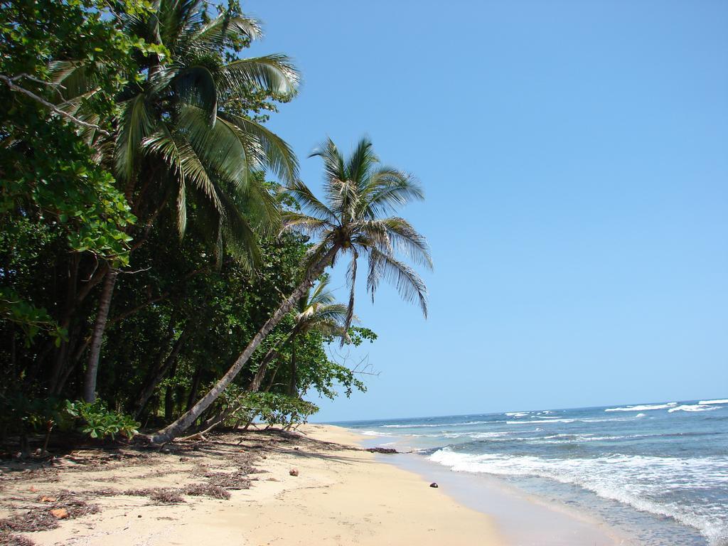 Babilonia Aparthotel Cahuita Kültér fotó