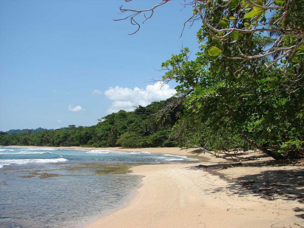 Babilonia Aparthotel Cahuita Kültér fotó