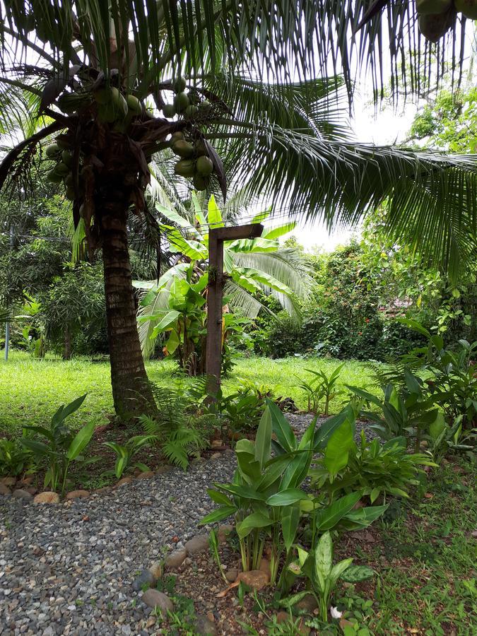 Babilonia Aparthotel Cahuita Kültér fotó
