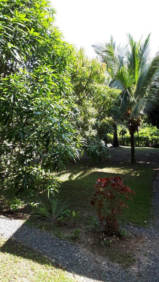 Babilonia Aparthotel Cahuita Kültér fotó